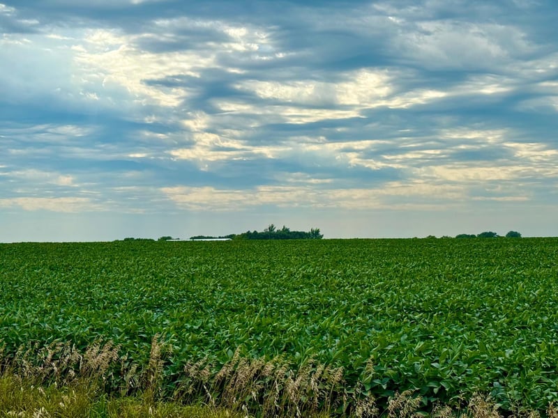X X, Wabasso, MN 56293