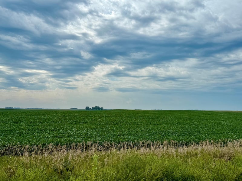 X X, Wabasso, MN 56293