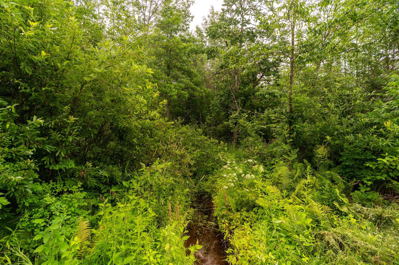 XX Torma Rd, Esko, MN 55733