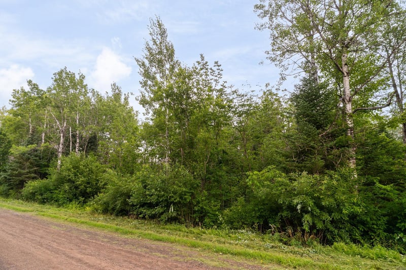 XX Torma Rd, Esko, MN 55733