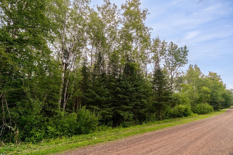 XX Torma Rd, Esko, MN 55733