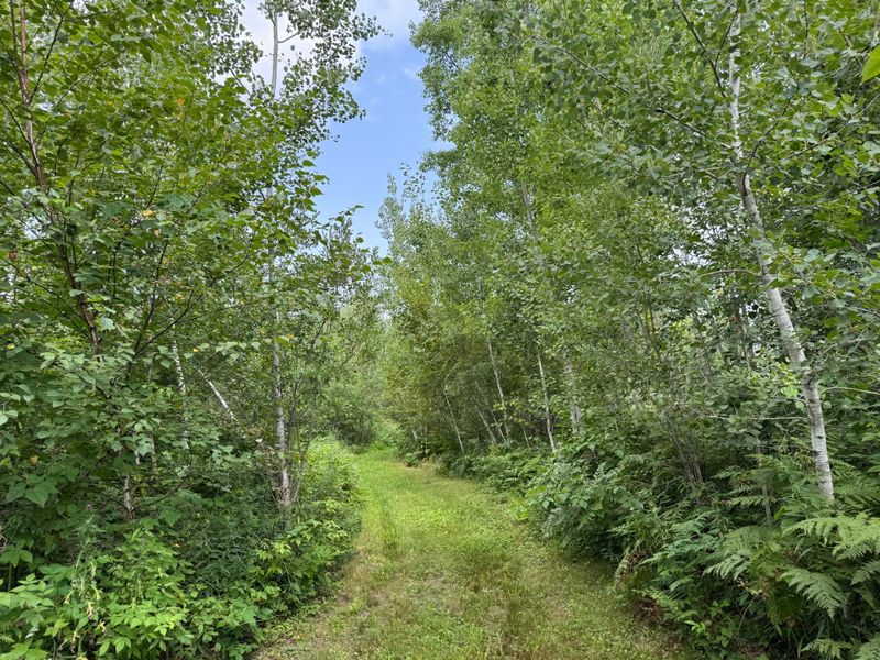 72237 Markville Rd, Sandstone, MN 55072