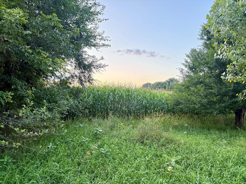 XXX Forster Rd NE, Carlos, MN 56319