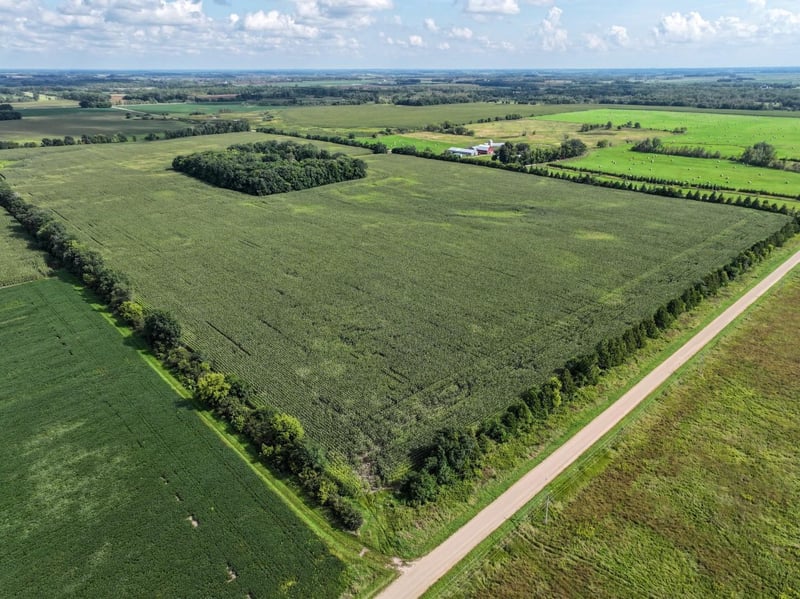 XXX Forster Rd NE, Carlos, MN 56319
