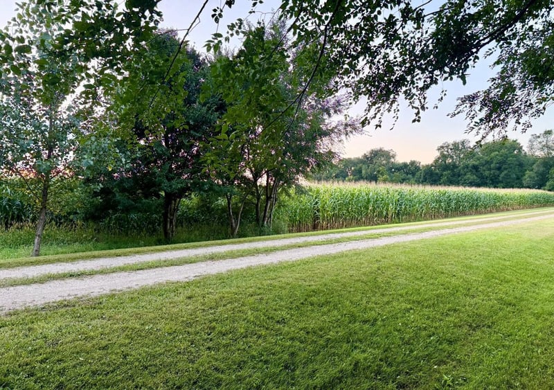 XXX Forster Rd NE, Carlos, MN 56319