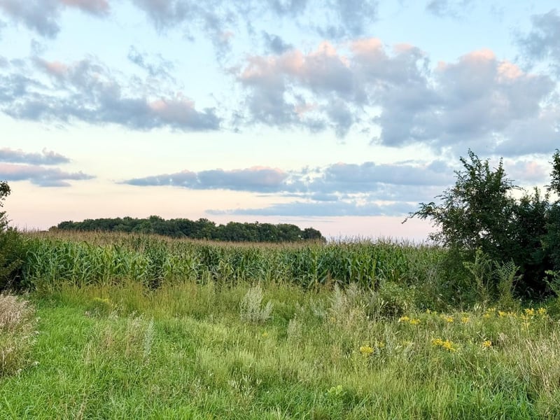 XXX Forster Rd NE, Carlos, MN 56319