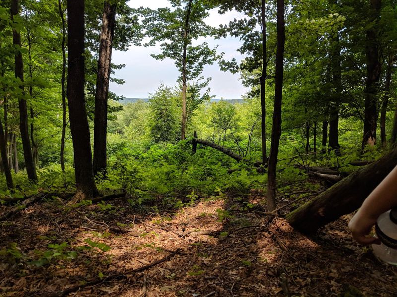 142 Acres 520th St, Wheeler, WI 54772