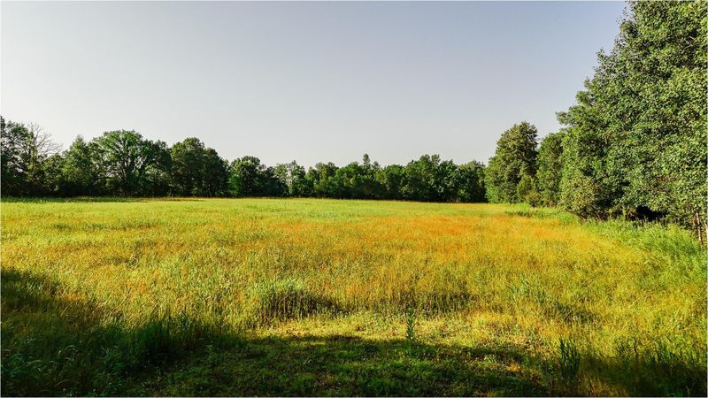 18998 NE 145th St, Foreston, MN 56330