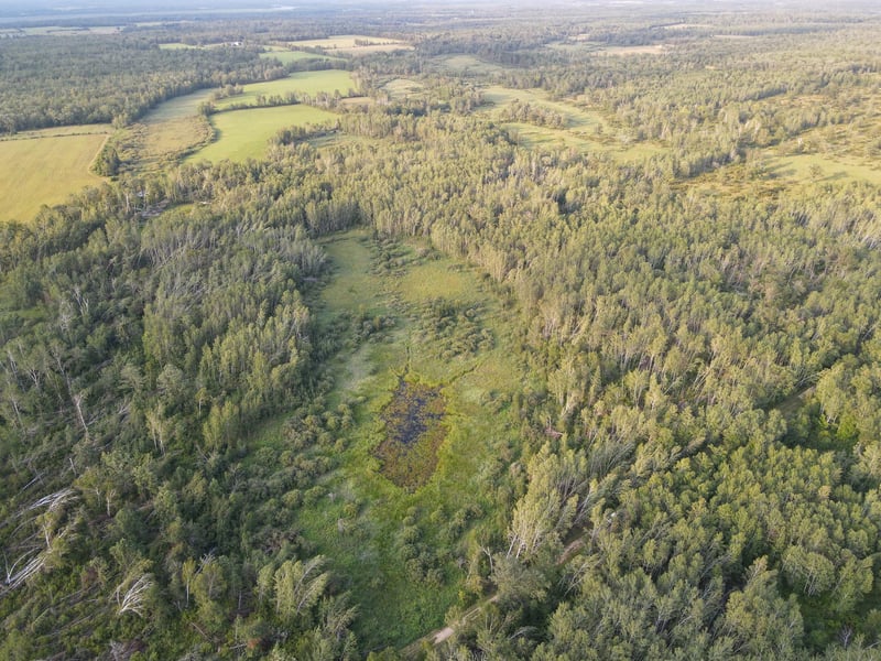 15xxx 500th St, Becida, MN 56678