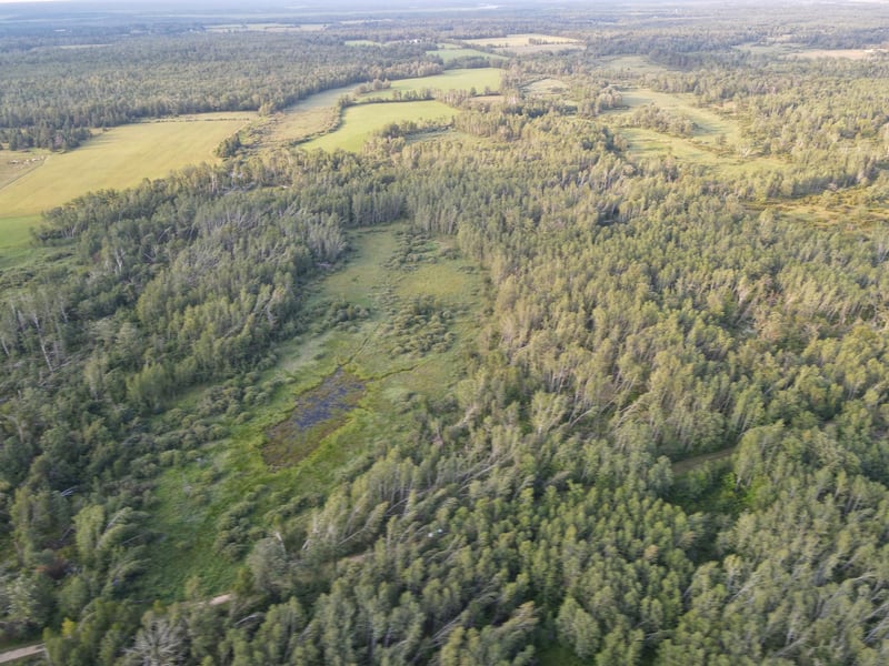 15xxx 500th St, Becida, MN 56678