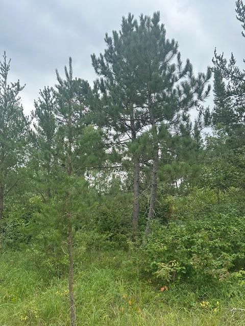 TBD Memorial Ln NW, Bemidji, MN 56601