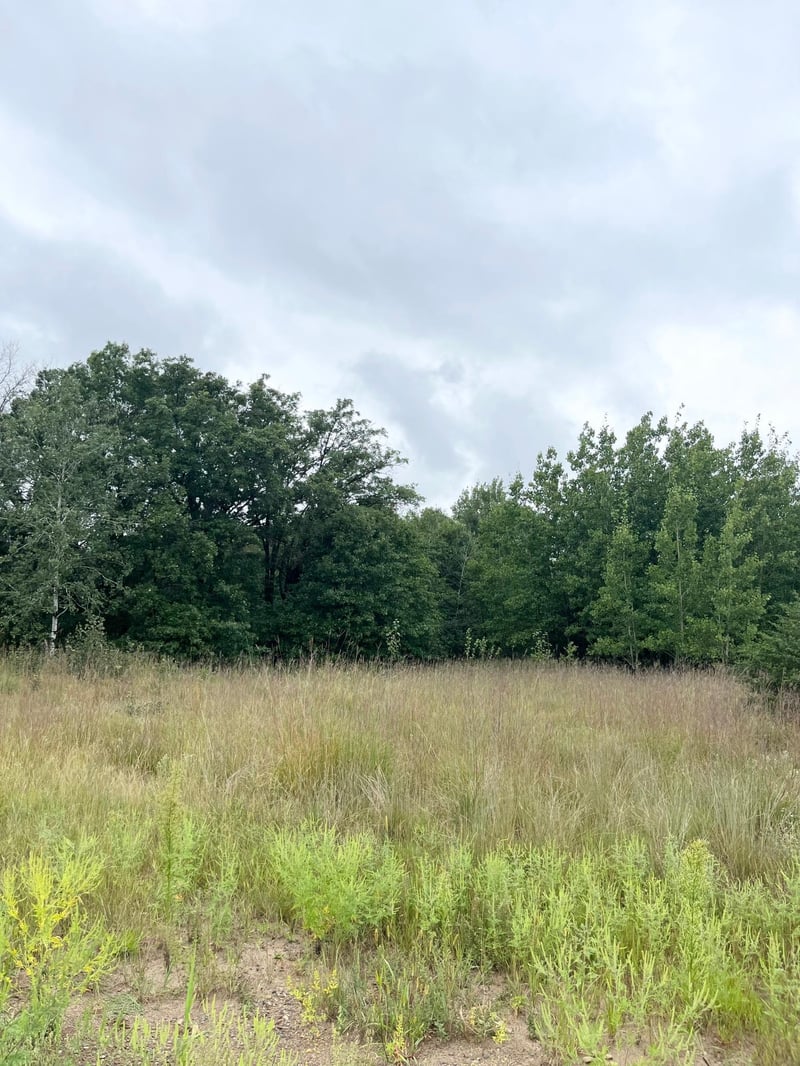 17187 62nd St SE, Becker, MN 55308