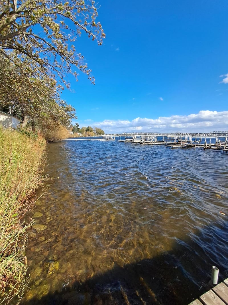 25637 Circle Dr, Garrison, MN 56450