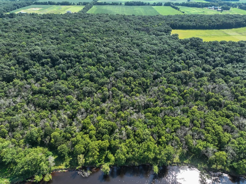 Lot 7 180th Ave, Mondovi, WI 54755