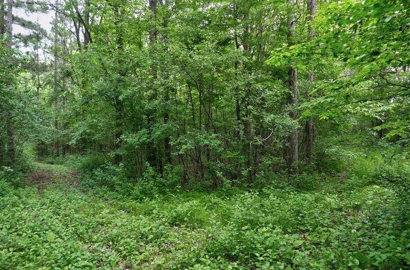 653 115th St, Amery, WI 54001