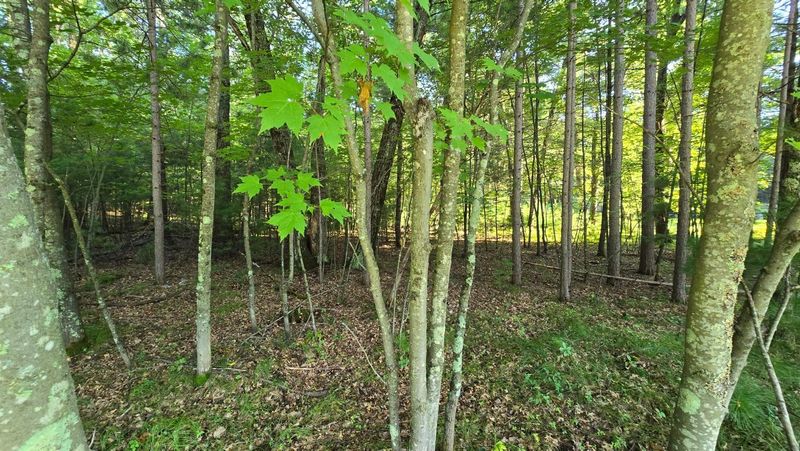 461 E Benson Ave, Grantsburg, WI 54840