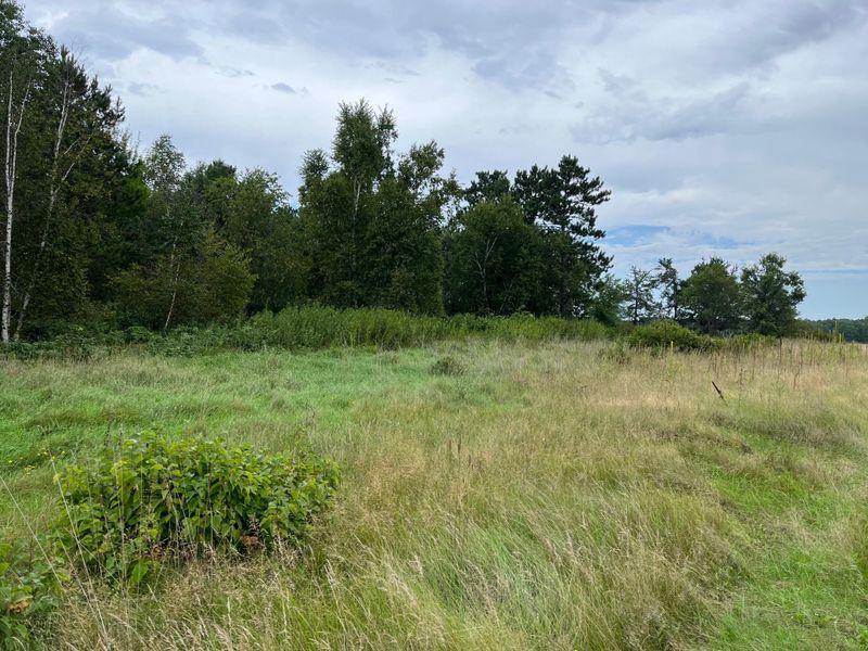 TBD 112 Th, Pillager, MN 56473