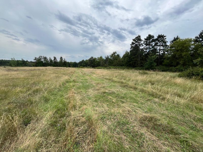 TBD 112 Th, Pillager, MN 56473