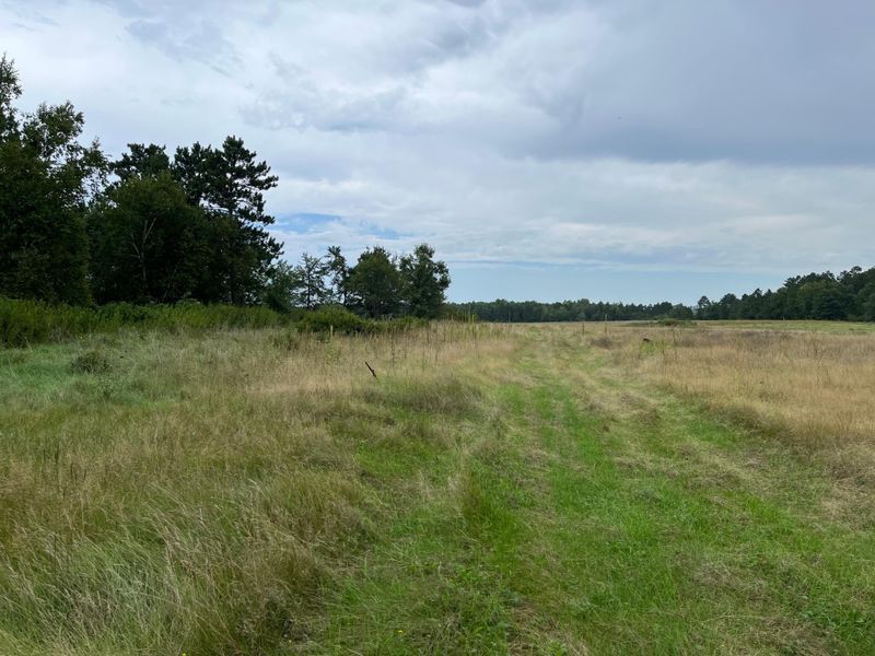 TBD 112 Th, Pillager, MN 56473