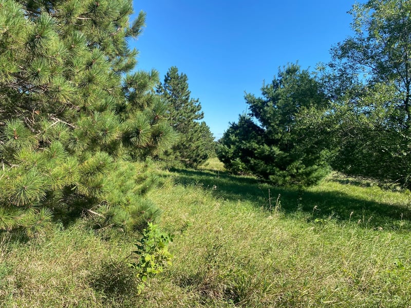 TBD Norway Pine Rd, Dalton, MN 56324