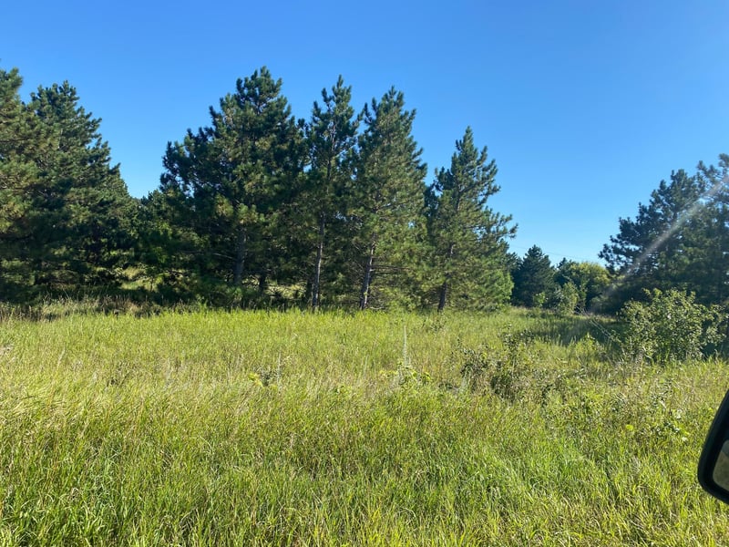 TBD Norway Pine Rd, Dalton, MN 56324