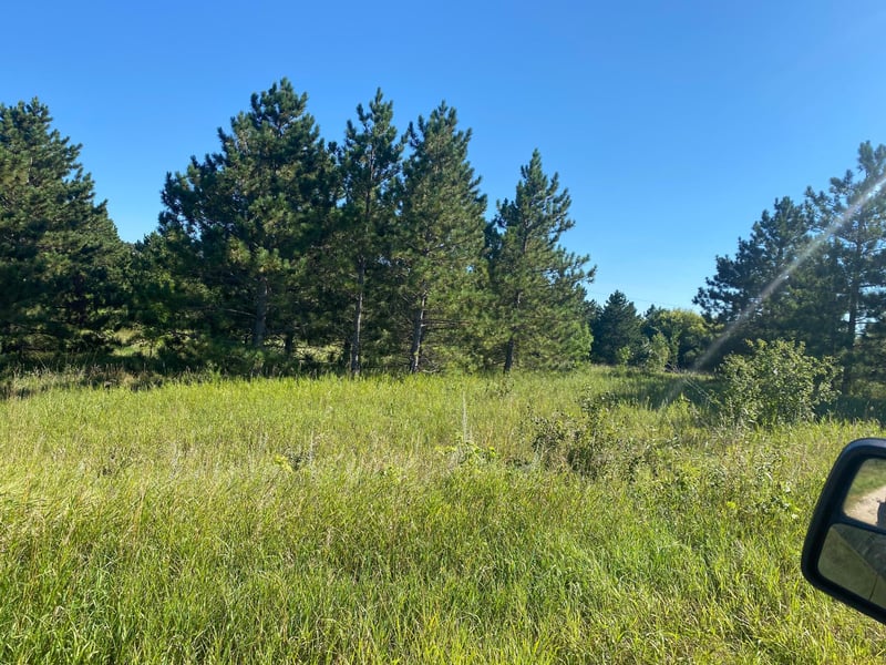 TBD Norway Pine Rd, Dalton, MN 56324