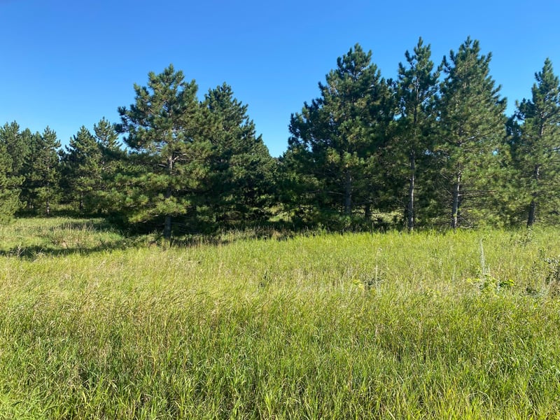 TBD Norway Pine Rd, Dalton, MN 56324