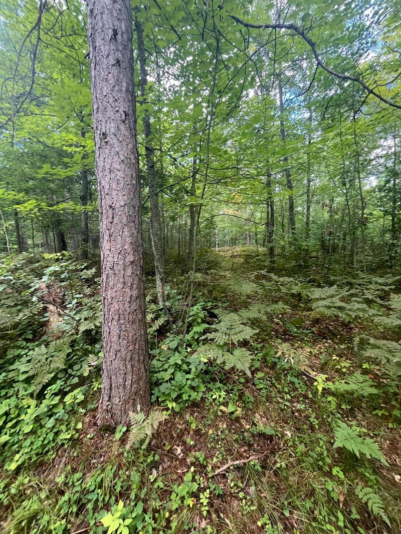 Lot 43 Deerpath Trail Way, Danbury, WI 54830