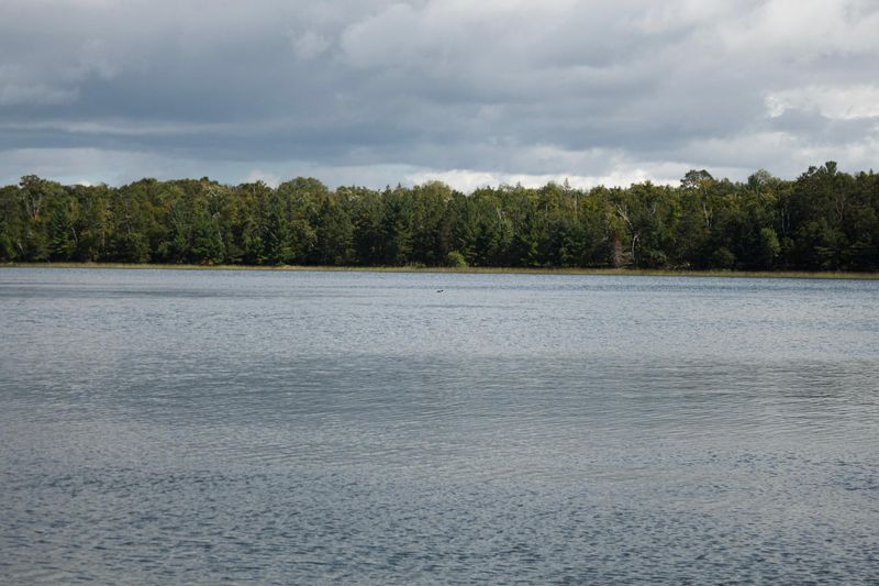 13314 Blackberry Dr, Nevis, MN 56467