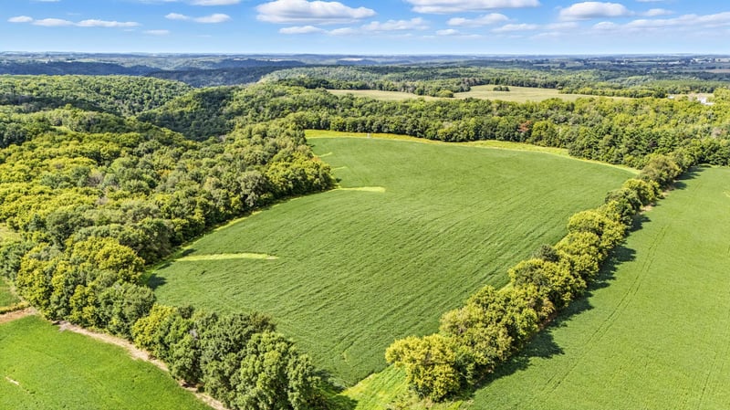 TBD 310th St, Maiden Rock, WI 54750