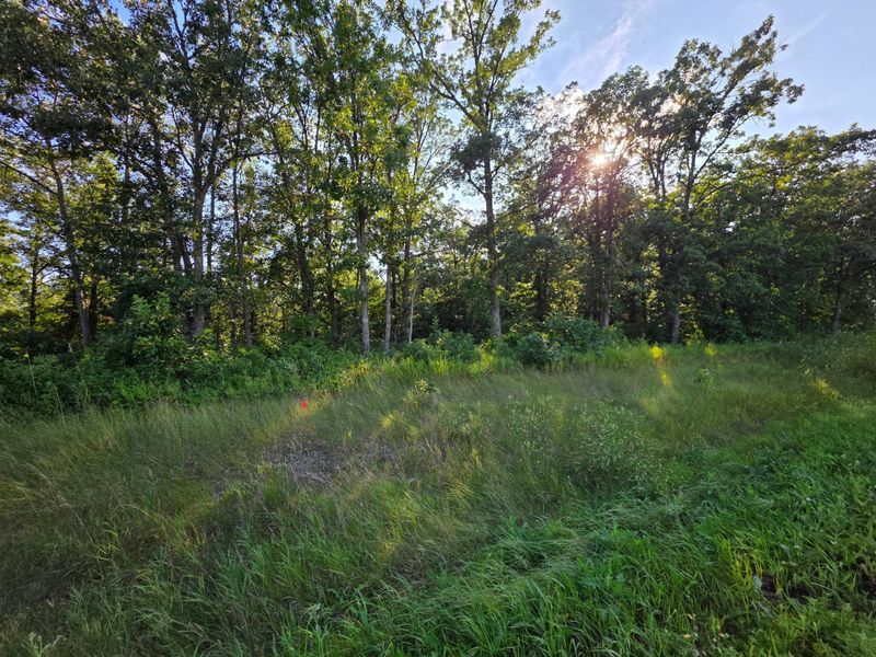 TBD Hwy 113, Oakland Twp, MN 56589