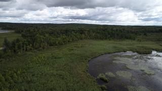 TBD Hwy 113, Oakland Twp, MN 56589