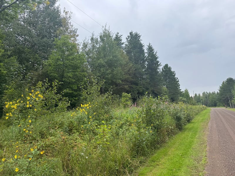 TBD Townline Rd, Brimson, MN 55602