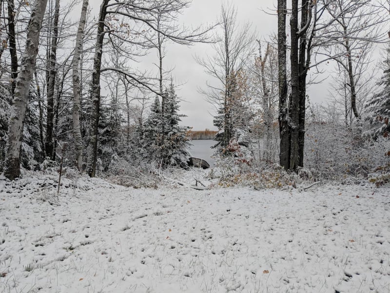 XXX Snowball Rd, Pengilly, MN 55775