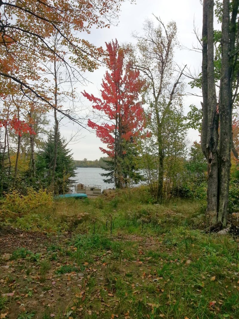 XXX Snowball Rd, Pengilly, MN 55775