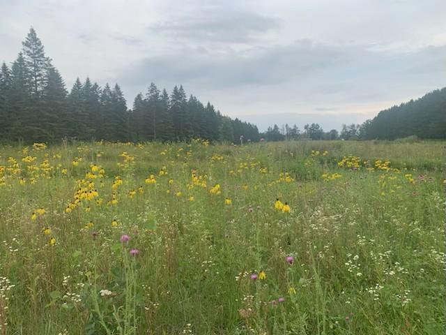 29505 County Highway 37, Ponsford, MN 56575