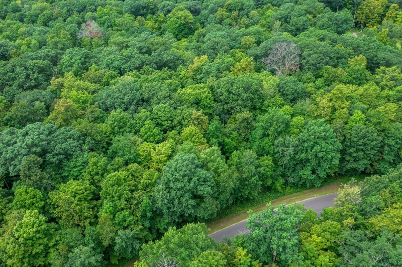 XXX 25 1/4 Ave, Cumberland, WI 54829