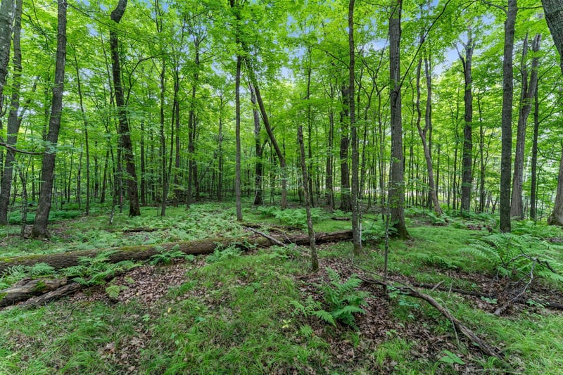 XXX 25 1/4 Ave, Cumberland, WI 54829