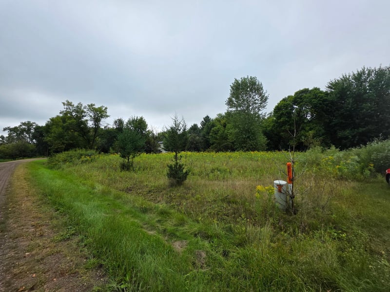 TBD Cambridge Way, Stanchfield, MN 55080