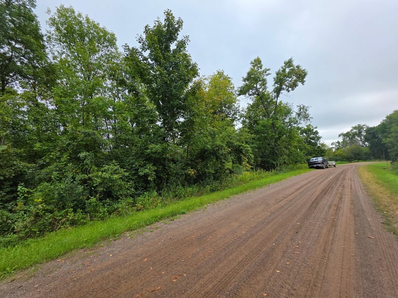 TBD Cambridge Way, Stanchfield, MN 55080
