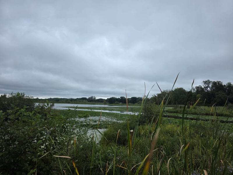 TBD Cambridge Way, Stanchfield, MN 55080