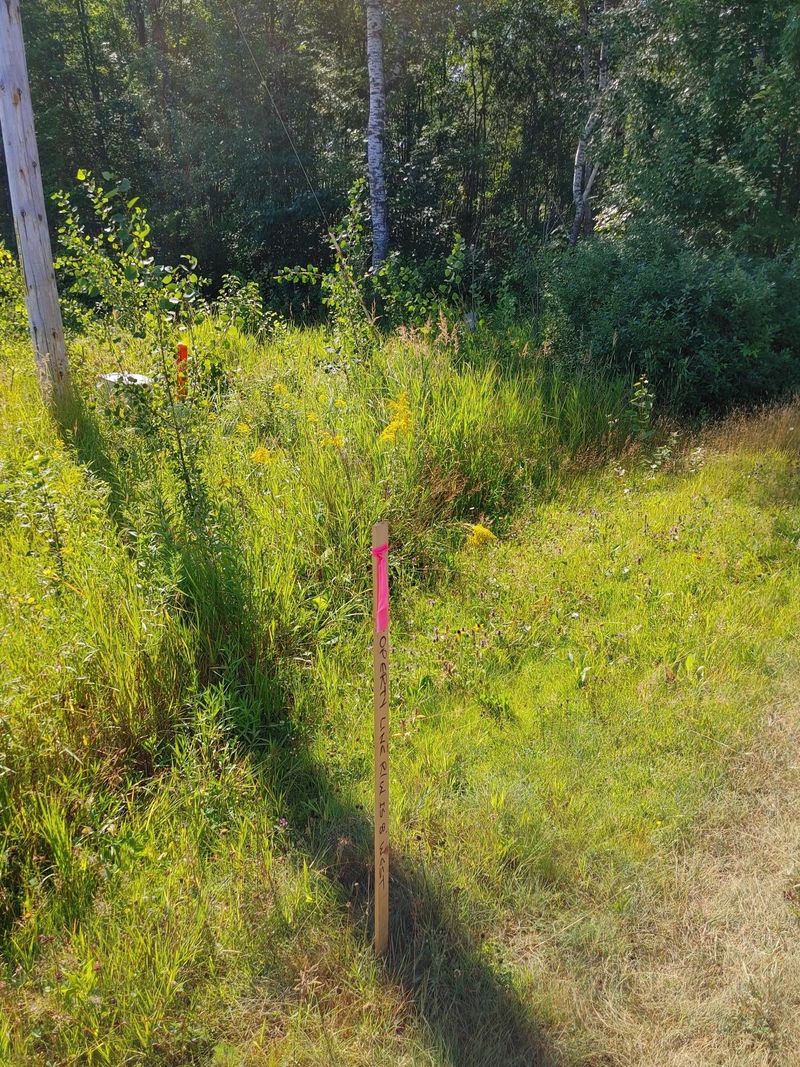 TBD Duxbury Rd, Sandstone, MN 55072