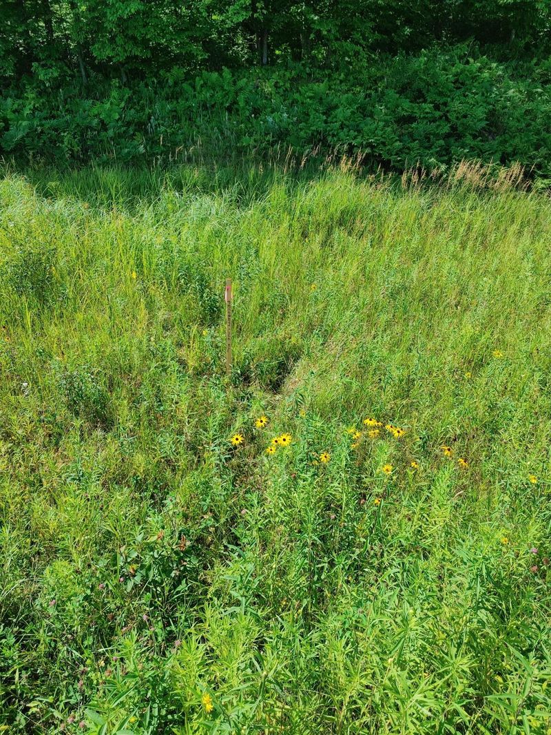 TBD Duxbury Rd, Sandstone, MN 55072