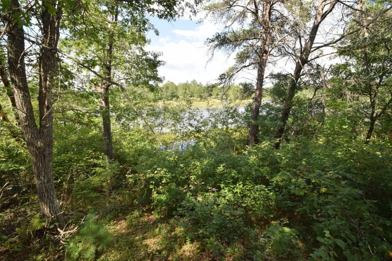 Lot 5 Secluded Ln, Gordon, WI 54838