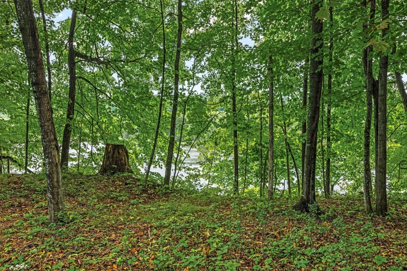 10 Butternut Trl N, Marine On Saint Croix, MN 55047