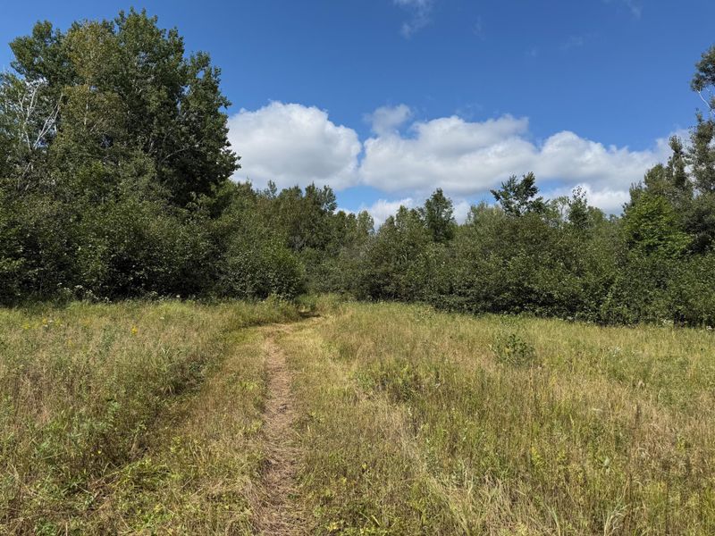 17093 160th Ln, Finlayson, MN 55735
