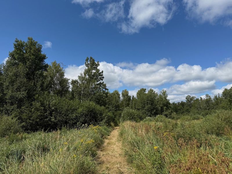 17093 160th Ln, Finlayson, MN 55735