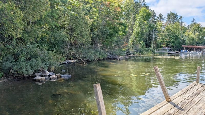 8159 Ludlow Rd, Cook, MN 55723