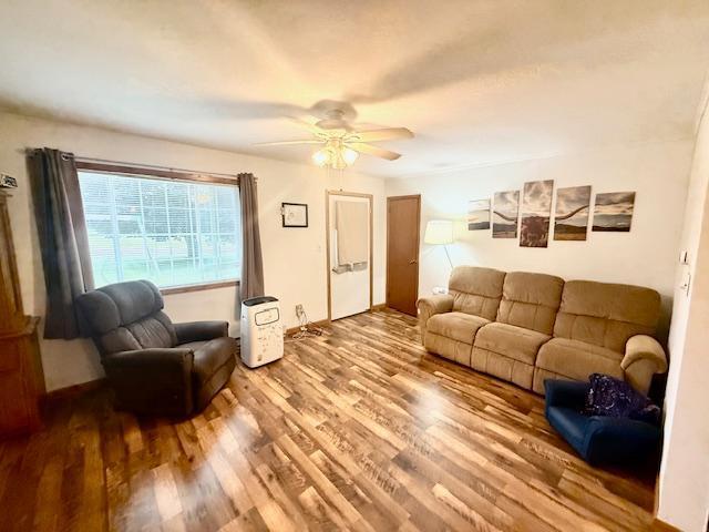 520 1st St S, Franklin, MN 55333