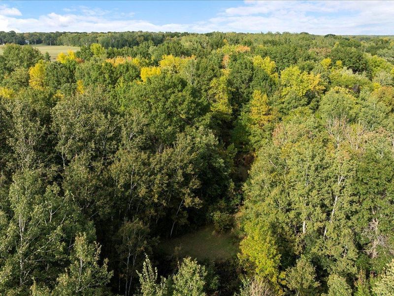 17087 County Road 2, Brainerd, MN 56401